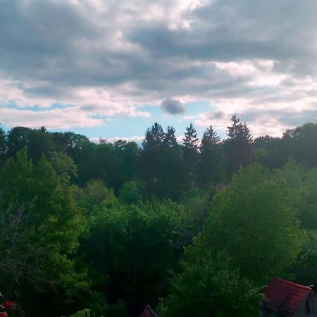 Ferienwohnung Im Manbach ฟรอยเดนชตัดท์ ภายนอก รูปภาพ